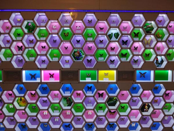 2014年公司員工活動(dòng)——“蝶谷-靖港古鎮(zhèn)- 銅官窯一日自駕游” 2014年公司員工活動(dòng)——“蝶谷-靖港古鎮(zhèn)- 銅官窯一日自駕游”